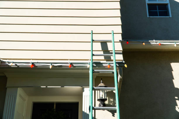 Best Siding Painting and Refinishing  in Shark River Hills, NJ