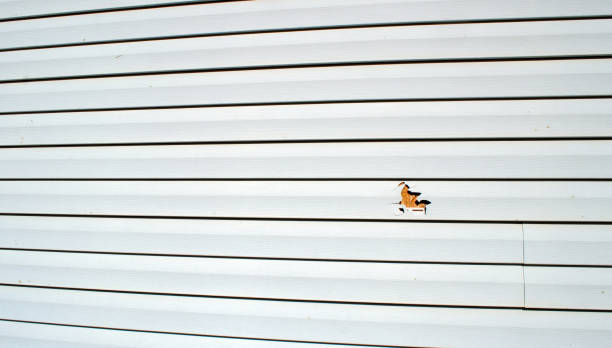Siding for Multi-Family Homes in Shark River Hills, NJ